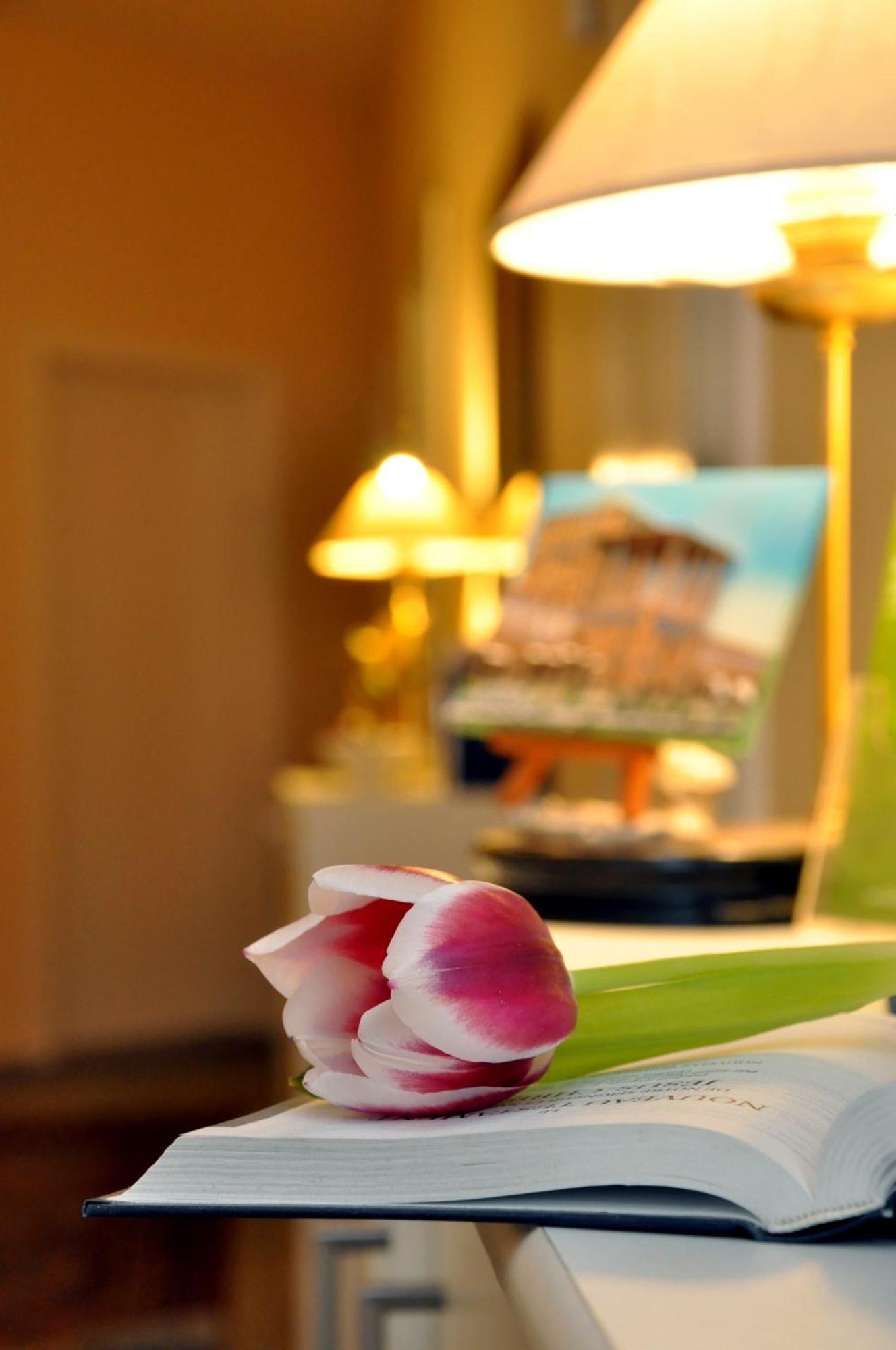 Hotel Apadana Frankfurt Frankfurt am Main Eksteriør billede